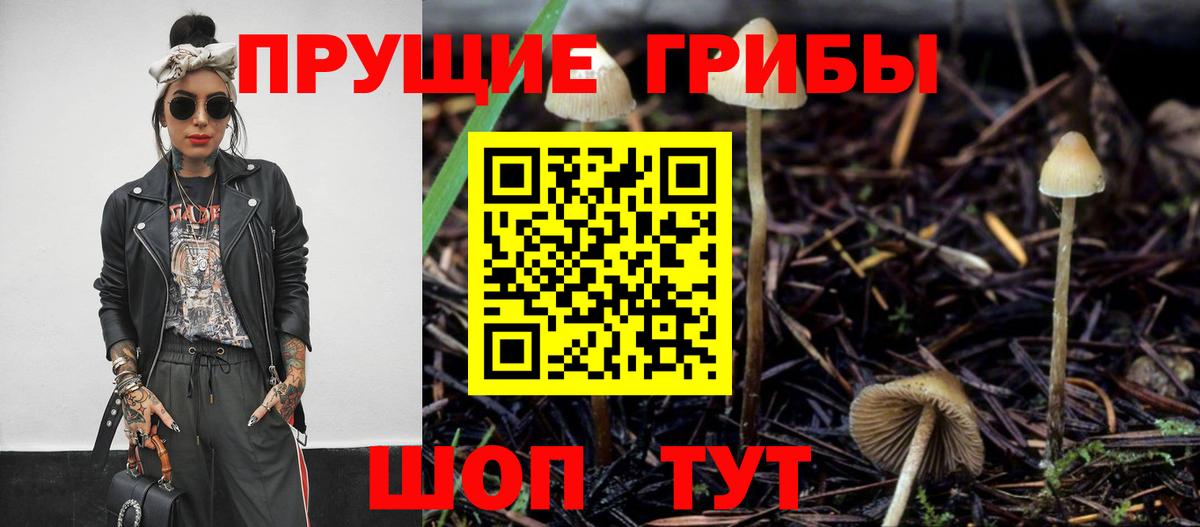 Щёлково  Псилоцибиновые грибы MAGIC MUSHROOMS  Вход с VPN 